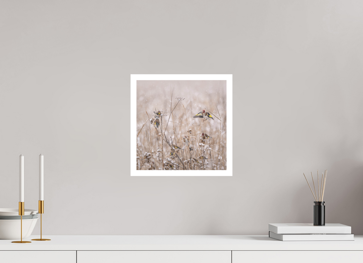 30 x 30 cm, Photo Rag Stillits
