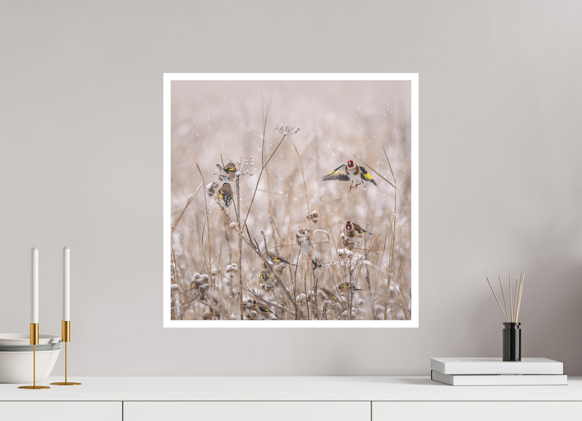 50 x 50 cm, Ultra Smooth Stillits