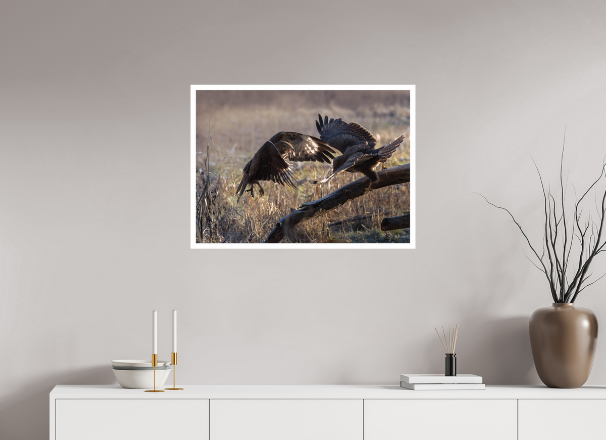 82.4 x 60 cm, Rag Baryta Kampen om føden