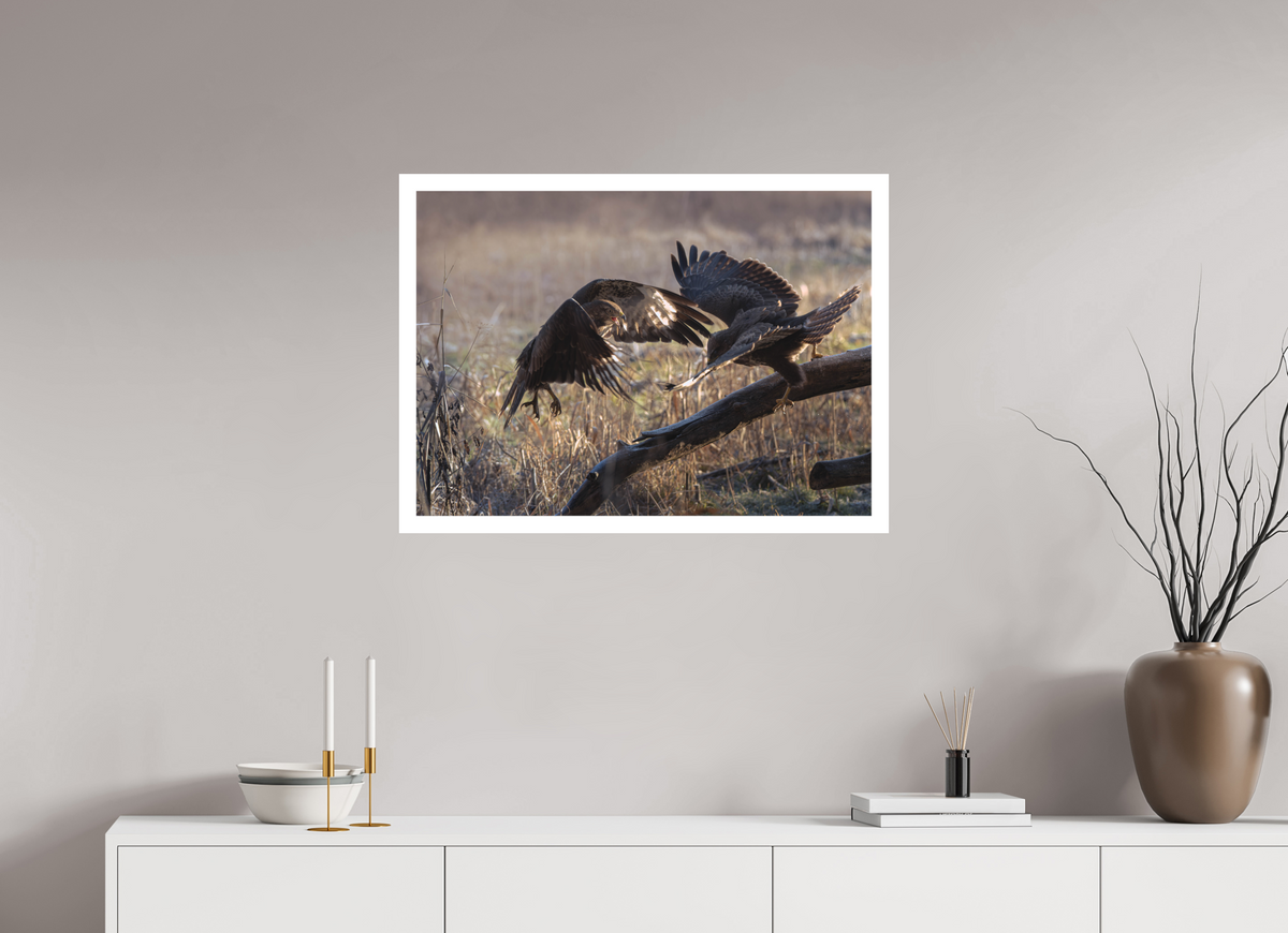 82.4 x 60 cm, Photo Rag Kampen om føden