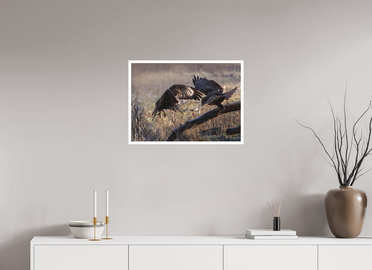 68.7 x 50 cm, Ultra Smooth Kampen om føden