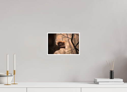 29.3 x 20 cm, Rag Baryta Egernet