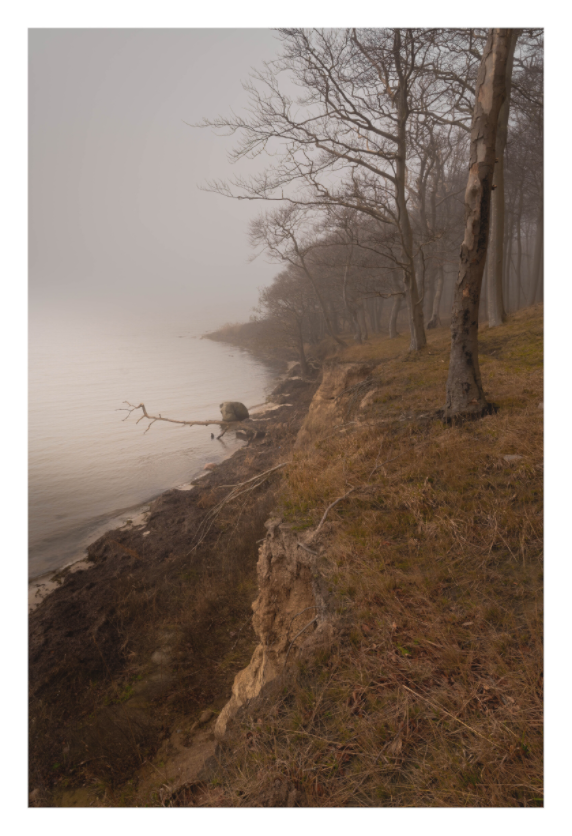 Main image Guldalderkyst