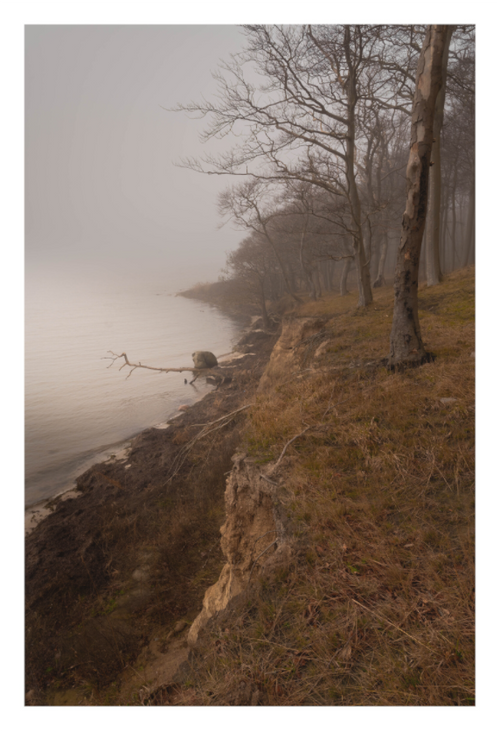 Main image Guldalderkyst