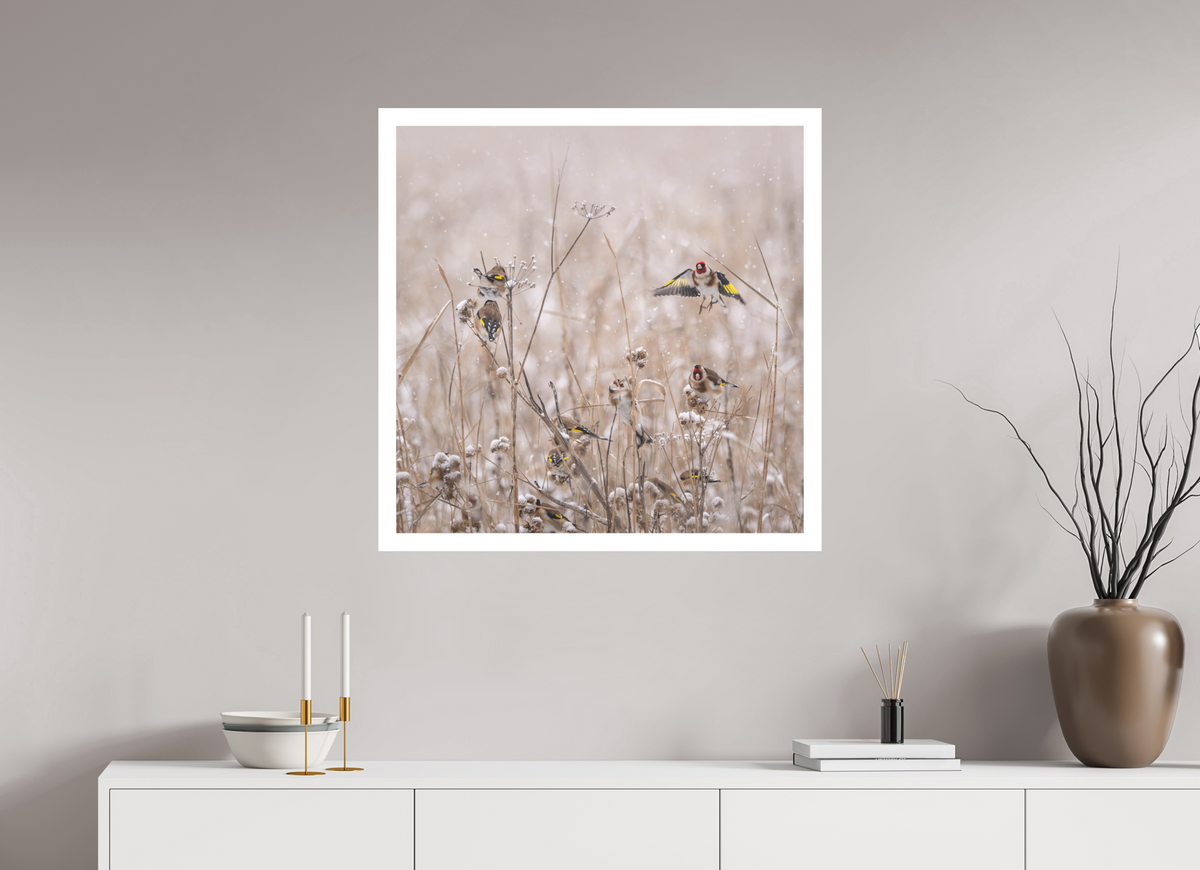 80 x 80 cm, Photo Rag Stillits