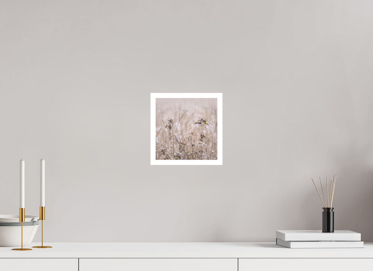 20 x 20 cm, Photo Rag Stillits