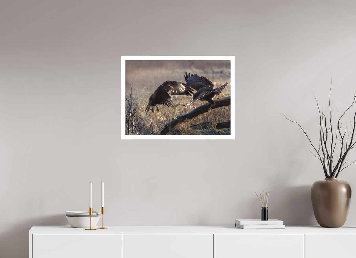68.7 x 50 cm, Photo Rag Kampen om føden