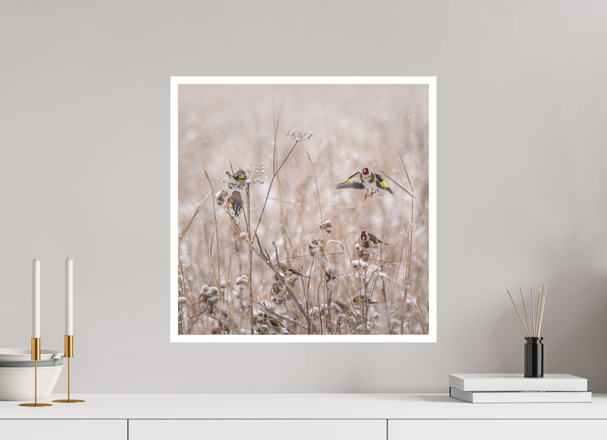 50 x 50 cm, Rag Baryta Stillits