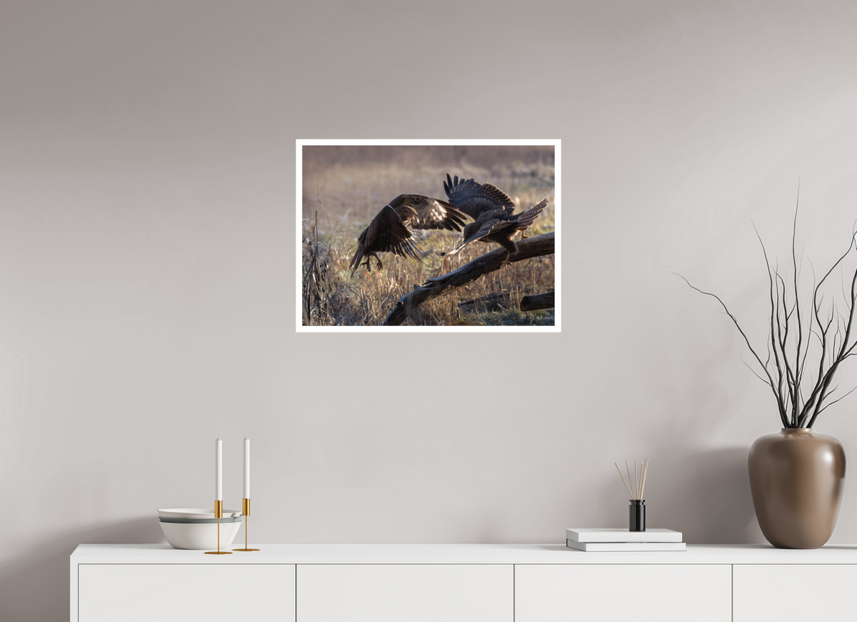 68.7 x 50 cm, Rag Baryta Kampen om føden