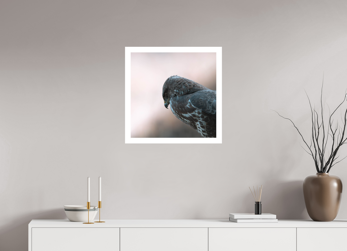60 x 60 cm, Photo Rag Musvåge