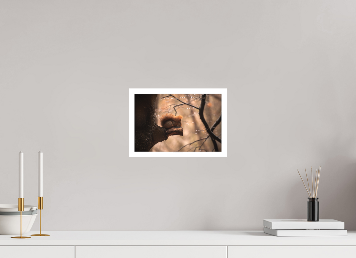 29.3 x 20 cm, Photo Rag Egernet