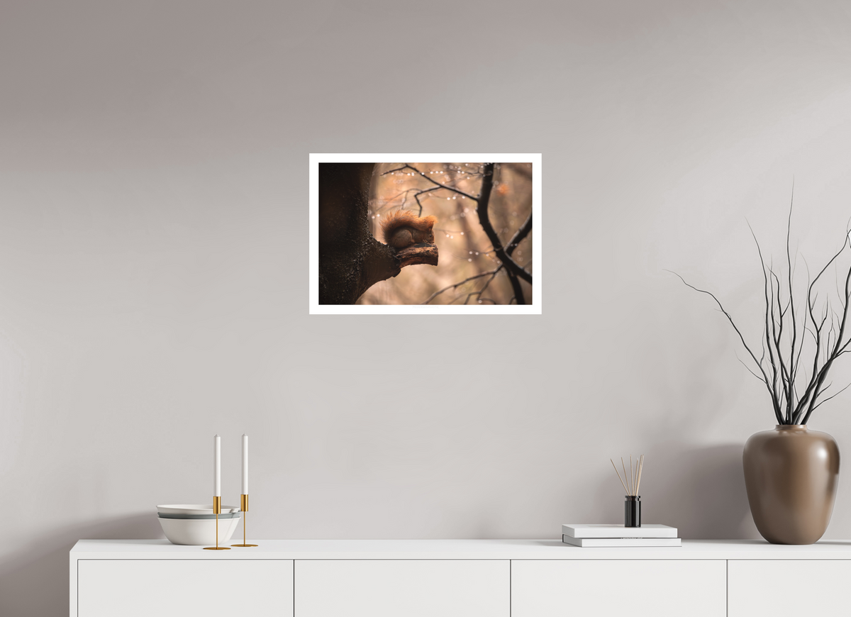 58.6 x 40 cm, Photo Rag Egernet